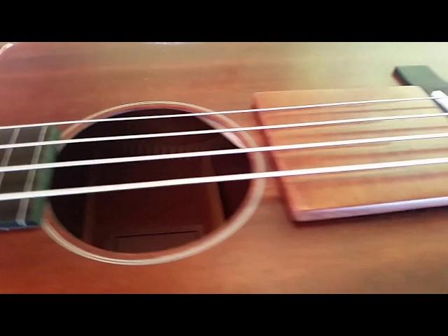 Sigma Guitars BMC-15FE+ Acoustic 4-String Fretless Bass - Leitnerjoe