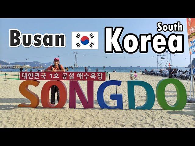 สะพานเชื่อมรักปูซาน  Skywalk Songdo Beach | Busan, South Korea | GoNoGuide Go ep.361