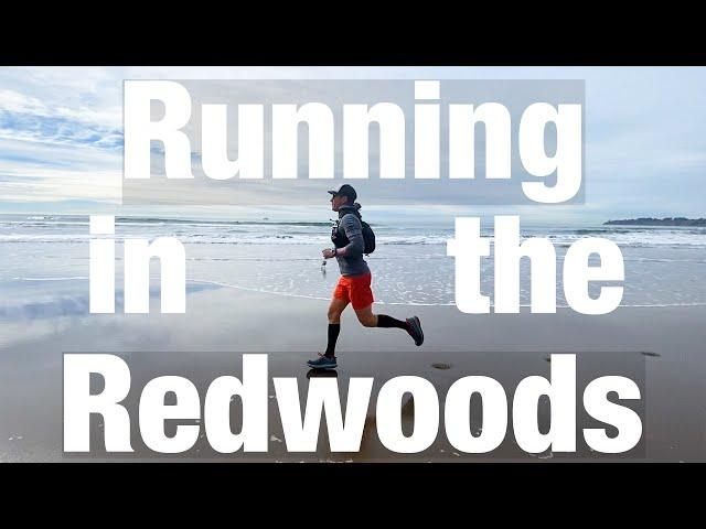 Muir Woods // Running in the Redwoods