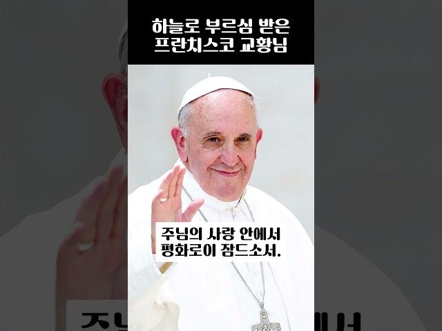 프란치스코 교황님 선종