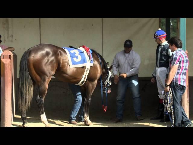 TVG Goes Inside Quarter Horse's Most Iconic Race - All American