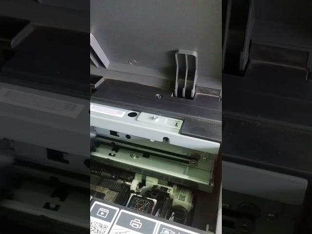 Epson l8050 borderless 4 x 6 photo best quality #ytshorts #csc #photography