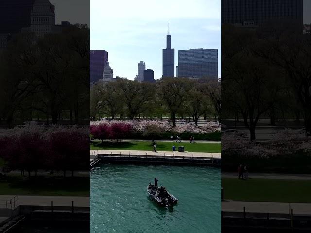 Fishing On Chicago's Lakefront - 4K Vertical Drone Video