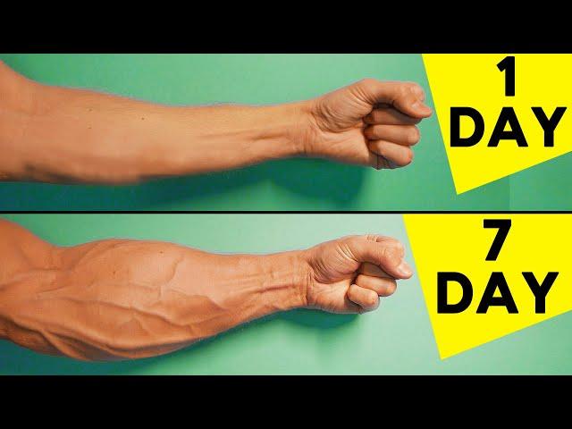 5 Best Exercises For Forearms | Home Workout