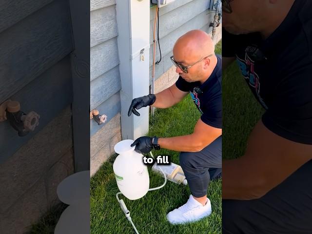 How to Do Your Own Pest Control