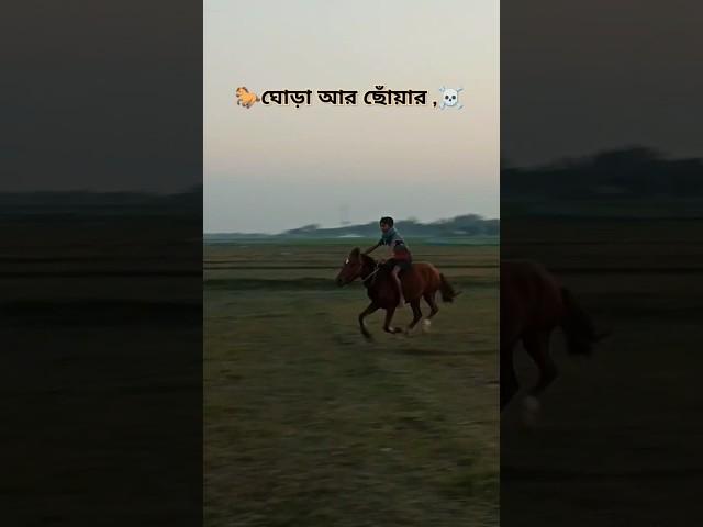 ঘোড়ার ছোঁয়ারি আল্প ছোটো হয়ে গেলো না  #youtubeshorts #trendingshorts #remix #music #horserun #bass