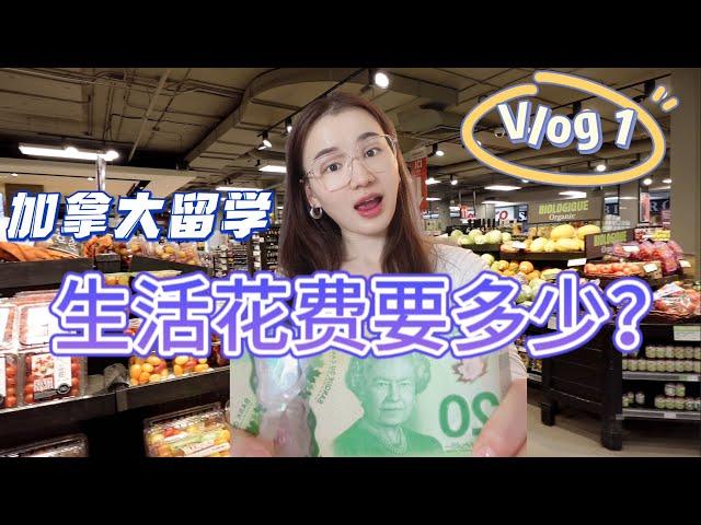 蒙特利尔vlog 1：加拿大生活花费有多高？超市100元可以买到什么？