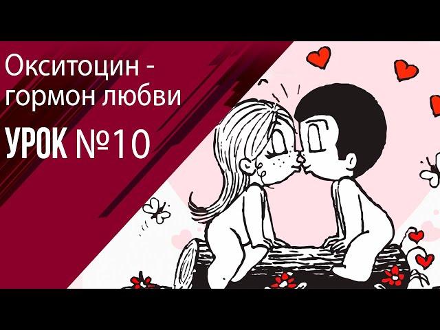 Урок 10 Окситоцин и его влияние на потенцию