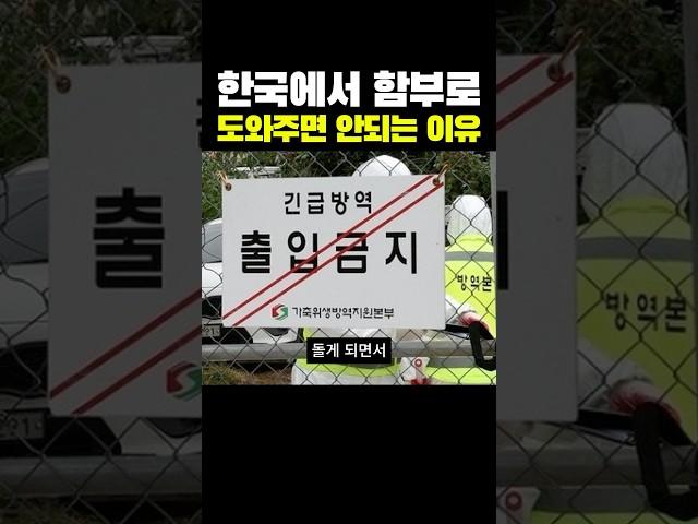 한국에서 함부로 도와주면 안되는 이유