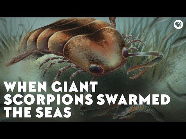 When Giant Scorpions Swarmed the Seas