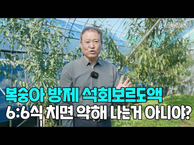 복숭아나무 방제 석회보르도액