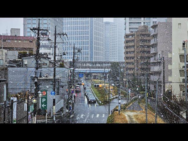 Heavy Snow in Tokyo - March 19, 2025 - Live Walk