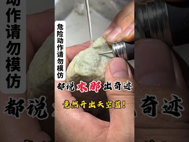 都说木那出奇迹，竟然开出天空蓝！