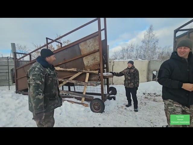 Кобылка Дуська, Малышка и Мустанг на зимовку прибыли домой.Самый лучший трап. Савраска в путь