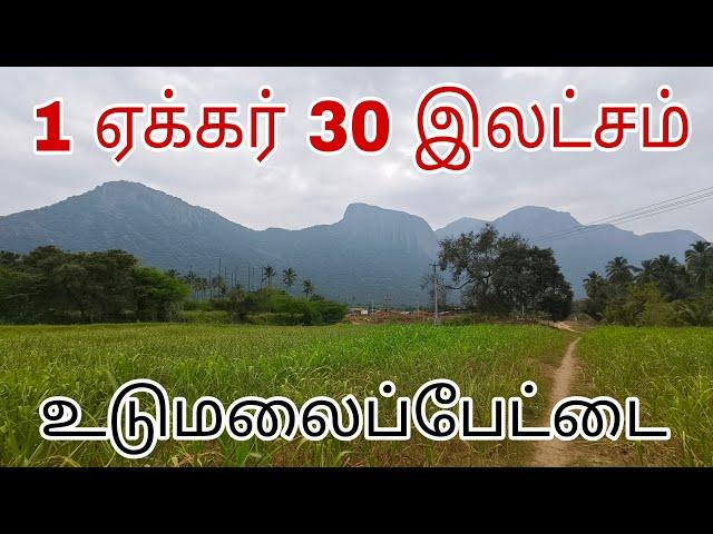 1 ஏக்கர் 30 இலட்சம் ரூபாய் மட்டுமே. கிணறு, தனி போர், தனி சர்வீஸ். | Agri land | Udumalpet