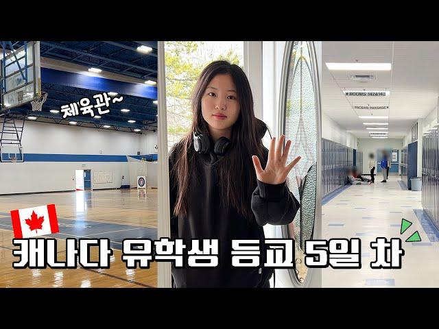 High school vlog!│캐나다 유학생 등교 5일차! 여기가 하이틴 드라마 속 인가요? 헬로음이유니