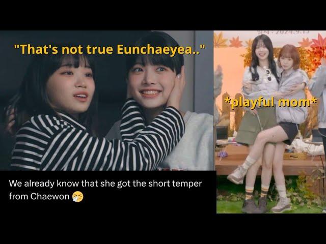 Chaechaez Funny Moments (Chaewon Being Playful Mom for Manchae)