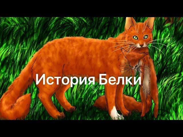 История Белки(по просьбе Милены)/Коты-воители