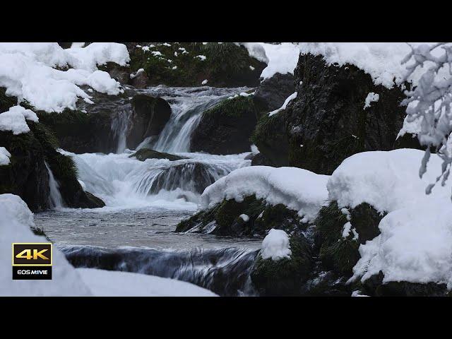 4K video + natural environmental sounds, snowy scenery and water sounds, bird sounds