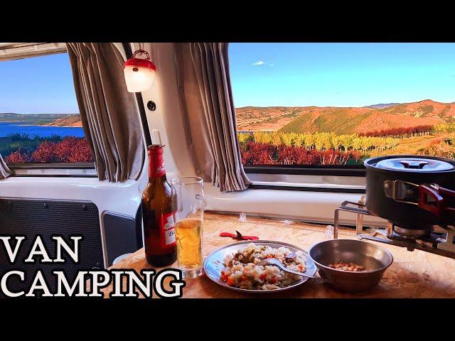 VAN TRIP |CAMPING ALONE |COOKING SLEEPING IN MY CAR |[AUTO,ASMR RELAX]