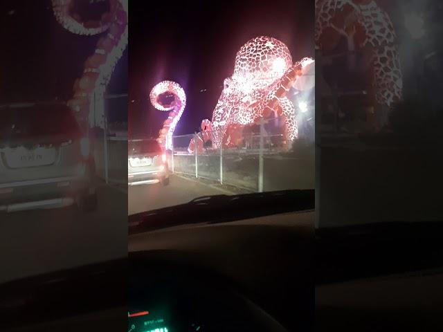 AMAZING Octopus Light Show - Branson Missouri - Danny the Man Parker