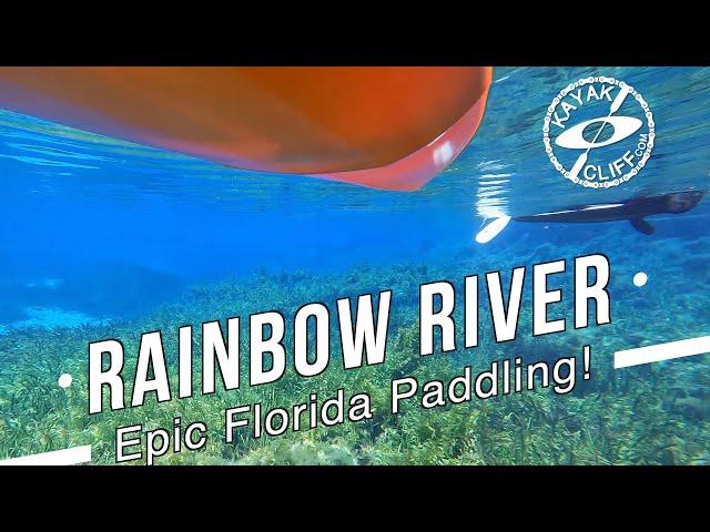 Rainbow River Kayaking An Epic Florida Paddling Trail