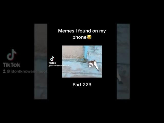 HE LOST IT... #memes #meme #tiktok #tiktokchallenge #viral #tiktokvideo #shorts