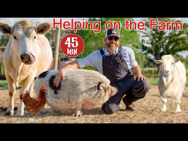 Helping a Farmer Feed and Care For His Animals (Educational Farm Video For Kids)