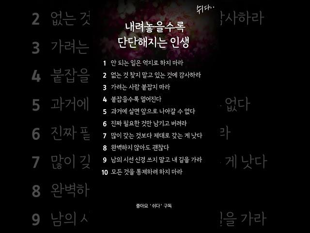 내려놓을수록 단단해지는 인생