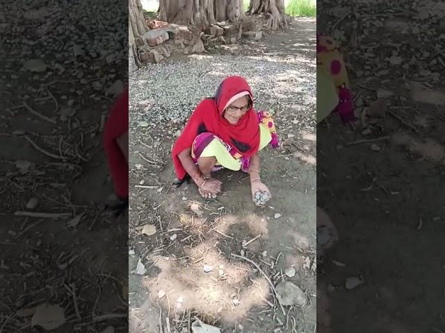kahawa Gael ladikaeya ho
