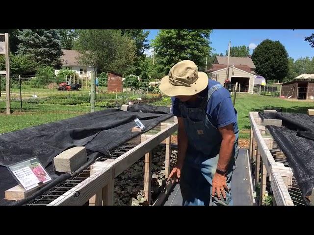 A tour of Mike’s Backyard Nursery.