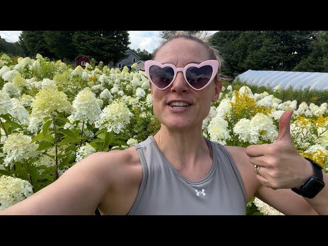 Field of Hydrangeas, Year 3 : New Fruit Trees : Flower Hill Farm