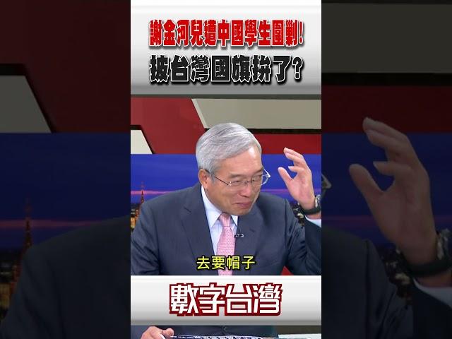 #數字台灣 謝金河兒遭中國學生圍剿!披台灣國旗拚了?