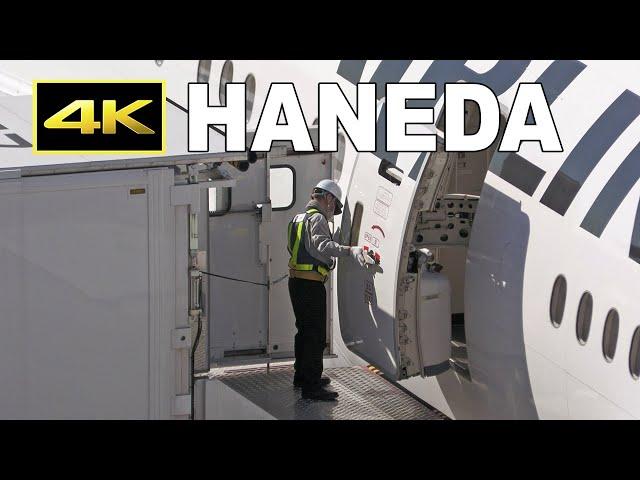 [4K] Arrival and ground handling of JAL Boeing 777 at Tokyo Haneda Airport / 羽田空港 日本航空