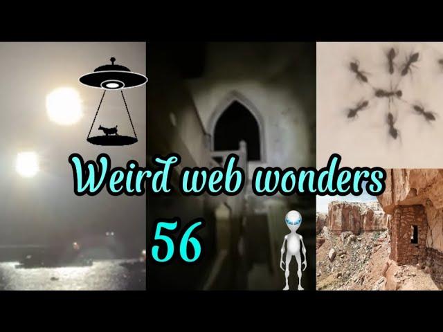 weird web wonders 56