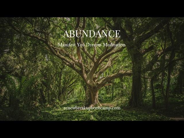 The Abundance Meditation by Amy Chan (Best) - Manifest Your Dream Life and Relationship