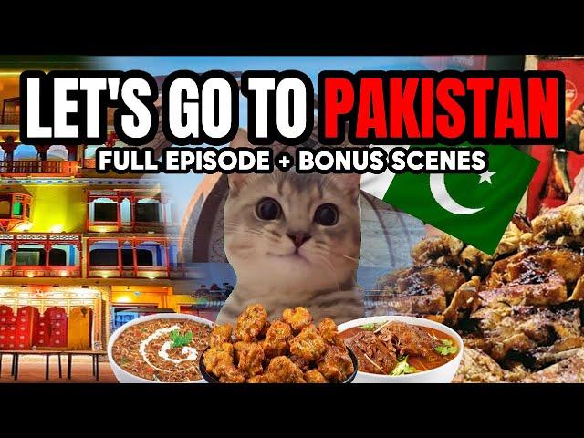 CAT MEMES: PAKISTAN VACATION +  EXTRA SCENES