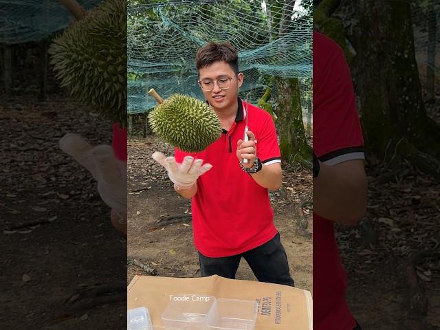 Must Try! The Most Popular Durian Store in Malacca, Malaysia - Fruit Cutting Skills