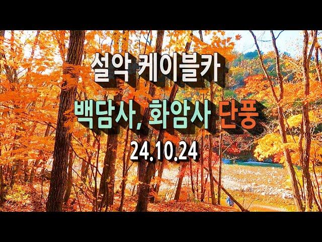 설악산 단풍 상황(24.10.24) ㅣ설악케이블카 이용정보, 신흥사, 화암사, 백담사