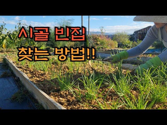 시골빈집을 찾고 싶어요~~ - countryside life