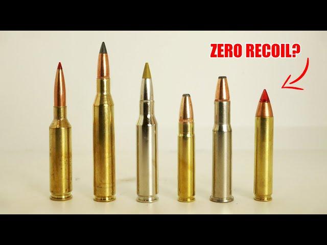 Top 6 Low Recoil Hunting Cartridges