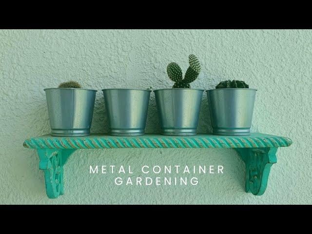 Metal Planter Basics in Gardening