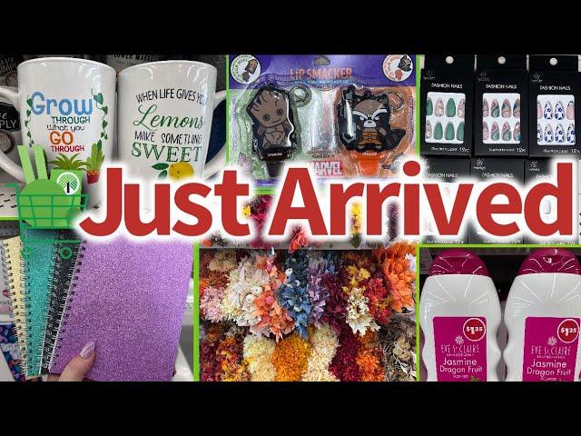 DOLLAR TREESHOCKING NEW ARRIVALS FOR ONLY $1.25‼️ #shopwithme #dollartree #new