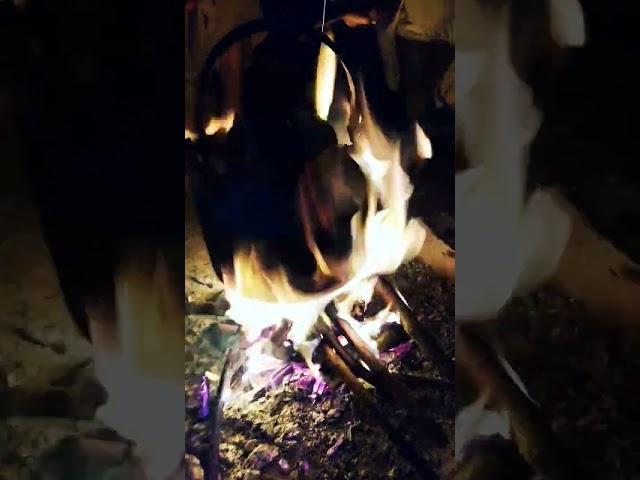Jungle Tea Brewing Campfire Chronicles  | Brewed in the Wild Tea by the Campfire  #teavalley