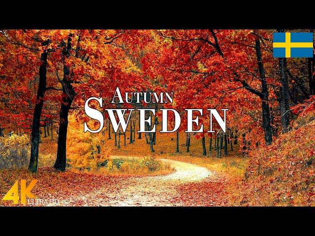 Autumn Sweden 4K Ultra HD • Stunning Footage Sweden, Scenic Relaxation Film with Calming Music.