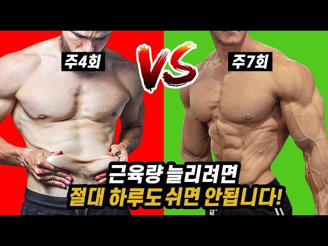 헬스를 쉬지 않고 매일해야 하는 이유!?