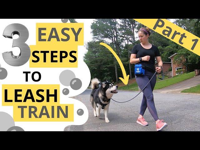 Loose Leash Walking: Attention and Motion (1/3)