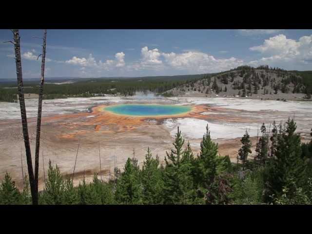 LifeMeansWhat | Yellowstone Gem