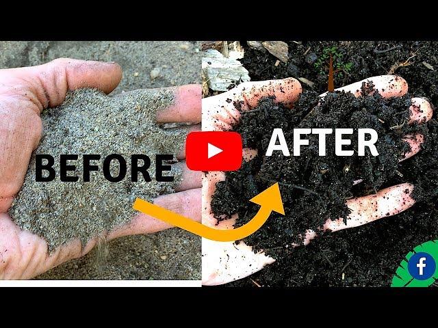 5 TIPS  FOR BUILDING PERFECT HEALTHY SOIL FOR FREE