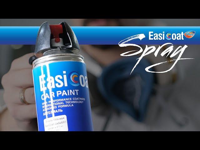 EASI COAT paint spray